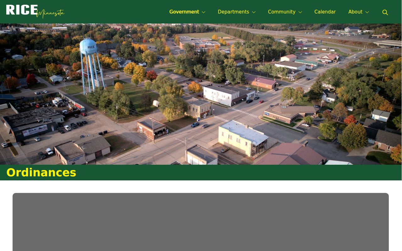 Rice court docket research image of the Rice ordinances city-code source